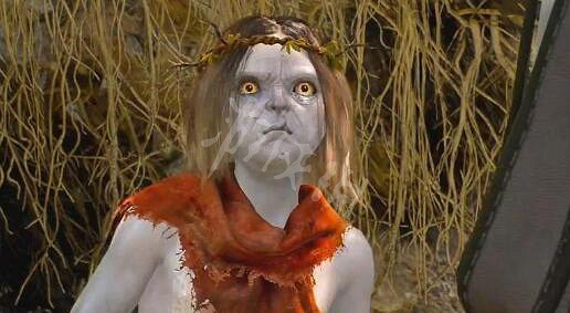 《巫師3次世代版》林中夫人任務流程 林中夫人任務攻略