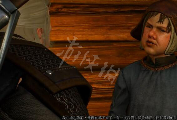 《巫師3次世代版》林中夫人任務流程 林中夫人任務攻略