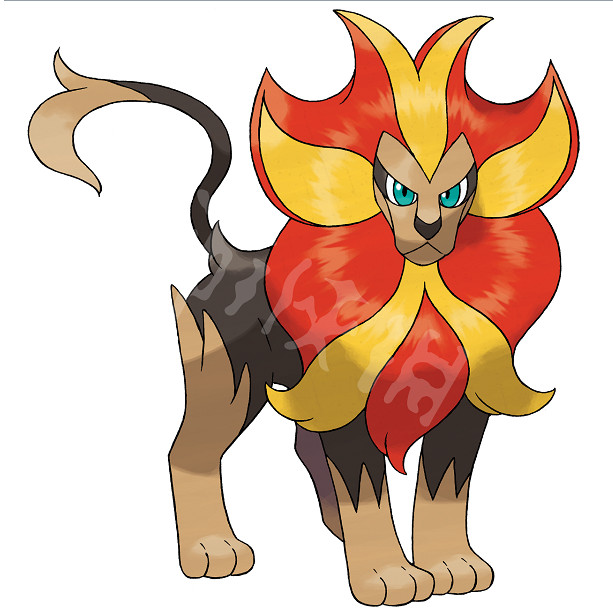 《寶可夢朱紫》火炎獅在哪抓？火炎獅抓捕位置分享