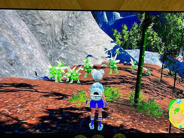 《寶可夢朱紫》飛天螳螂在哪裡刷？飛天螳螂位置分享