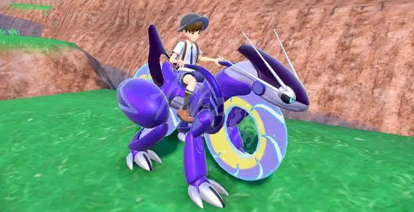 《寶可夢朱紫》在哪可以刷努力值？高效刷努力值位置分享