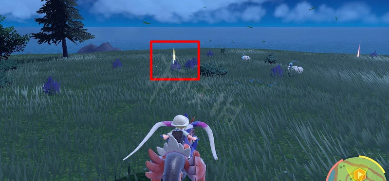 《寶可夢朱紫》種子機關槍學習器在哪？種子機關槍學習機位置分享