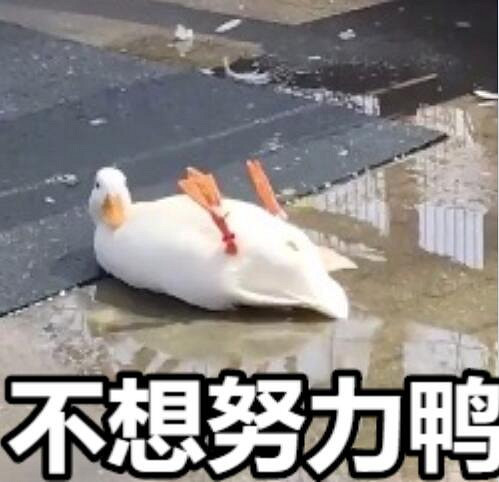 這款好評如潮的冷門遊戲,讓我一周沉迷了70多個小時 這款好評如潮的冷門遊戲,讓我一周沉迷了70多個小時