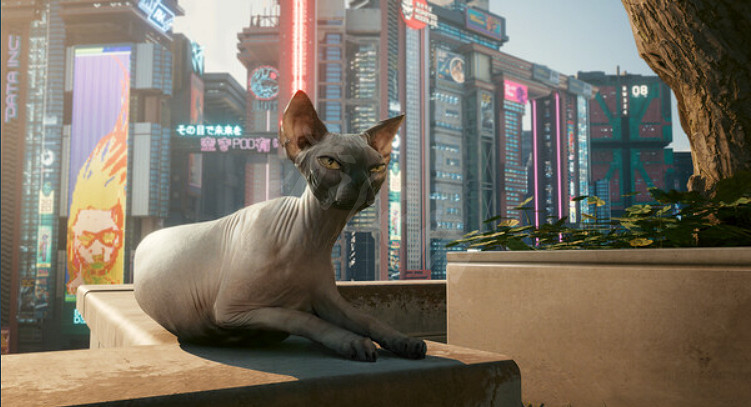 《電馭叛客2077》1.61更新了什麽？1.61更新內容介紹