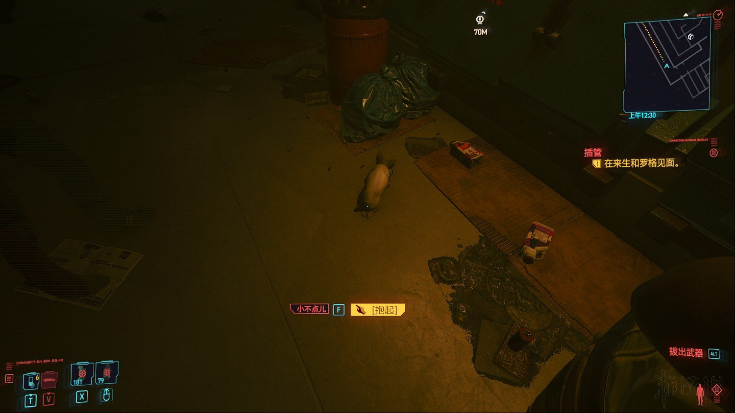 《電馭叛客2077》怎麽養貓?養貓方法詳解 《電馭叛客2077》怎麽養貓?養貓方法詳解