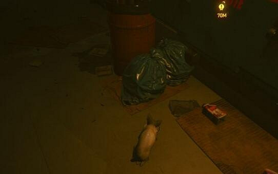 《電馭叛客2077》貓在哪獲得？收養貓方法