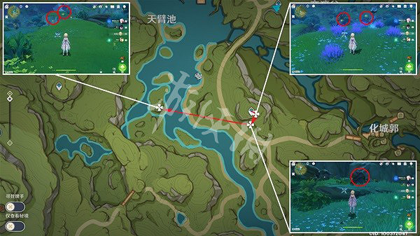 《原神》須彌草晶蝶收集路線分享 須彌草晶蝶分布圖 《原神》須彌草晶蝶收集路線分享 須彌草晶蝶分布圖