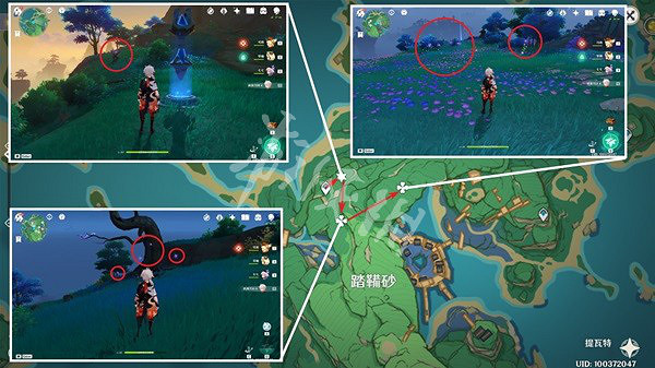 《原神》須彌草晶蝶收集路線分享 須彌草晶蝶分布圖 《原神》須彌草晶蝶收集路線分享 須彌草晶蝶分布圖