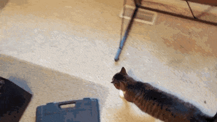 拿啤酒打窩能打到個老爺們 動圖 布娃娃的屁股還挺澀 拿啤酒打窩能打到個老爺們 動圖 布娃娃的屁股還挺澀