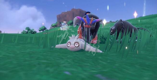 《寶可夢朱紫》孵化蛋技巧心得 怎麽孵化蛋? 《寶可夢朱紫》孵化蛋技巧心得 怎麽孵化蛋?