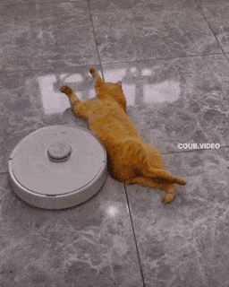 拿啤酒打窩能打到個老爺們 動圖 布娃娃的屁股還挺澀 拿啤酒打窩能打到個老爺們 動圖 布娃娃的屁股還挺澀