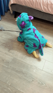 拿啤酒打窩能打到個老爺們 動圖 布娃娃的屁股還挺澀 拿啤酒打窩能打到個老爺們 動圖 布娃娃的屁股還挺澀