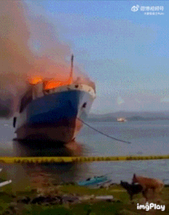 拿啤酒打窩能打到個老爺們 動圖 布娃娃的屁股還挺澀 拿啤酒打窩能打到個老爺們 動圖 布娃娃的屁股還挺澀