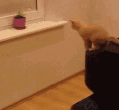 拿啤酒打窩能打到個老爺們 動圖 布娃娃的屁股還挺澀 拿啤酒打窩能打到個老爺們 動圖 布娃娃的屁股還挺澀