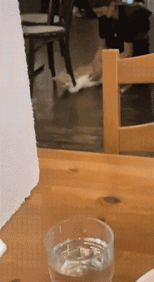 拿啤酒打窩能打到個老爺們 動圖 布娃娃的屁股還挺澀 拿啤酒打窩能打到個老爺們 動圖 布娃娃的屁股還挺澀