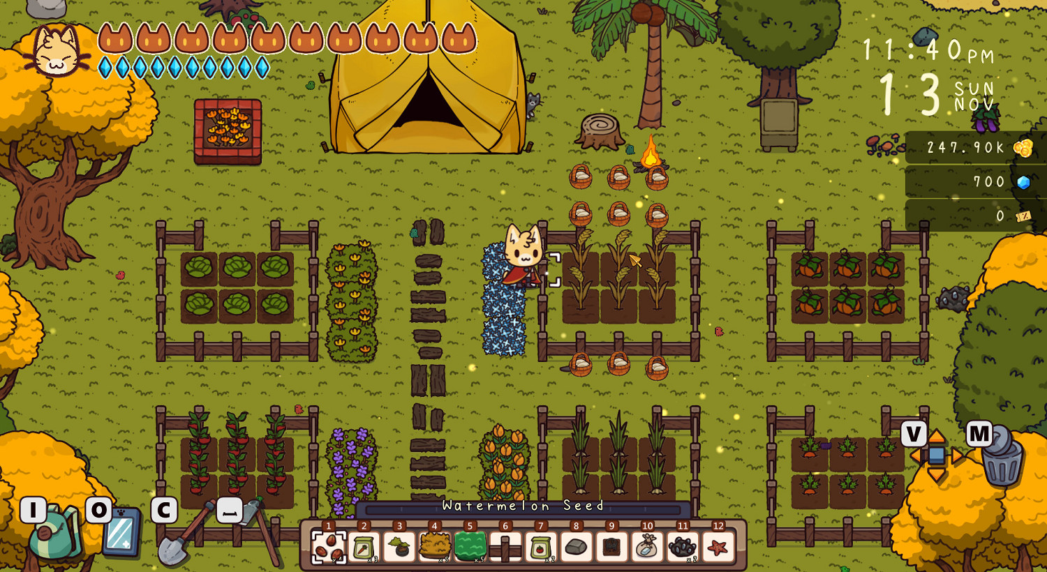 《旅行貓貓~探險之島》Steam頁面上線 2月15日發售