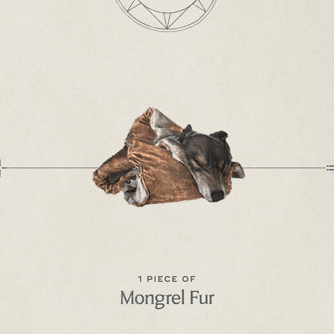 《霍格華茲之遺》魔法藥水展示 喝下後可增強防禦！