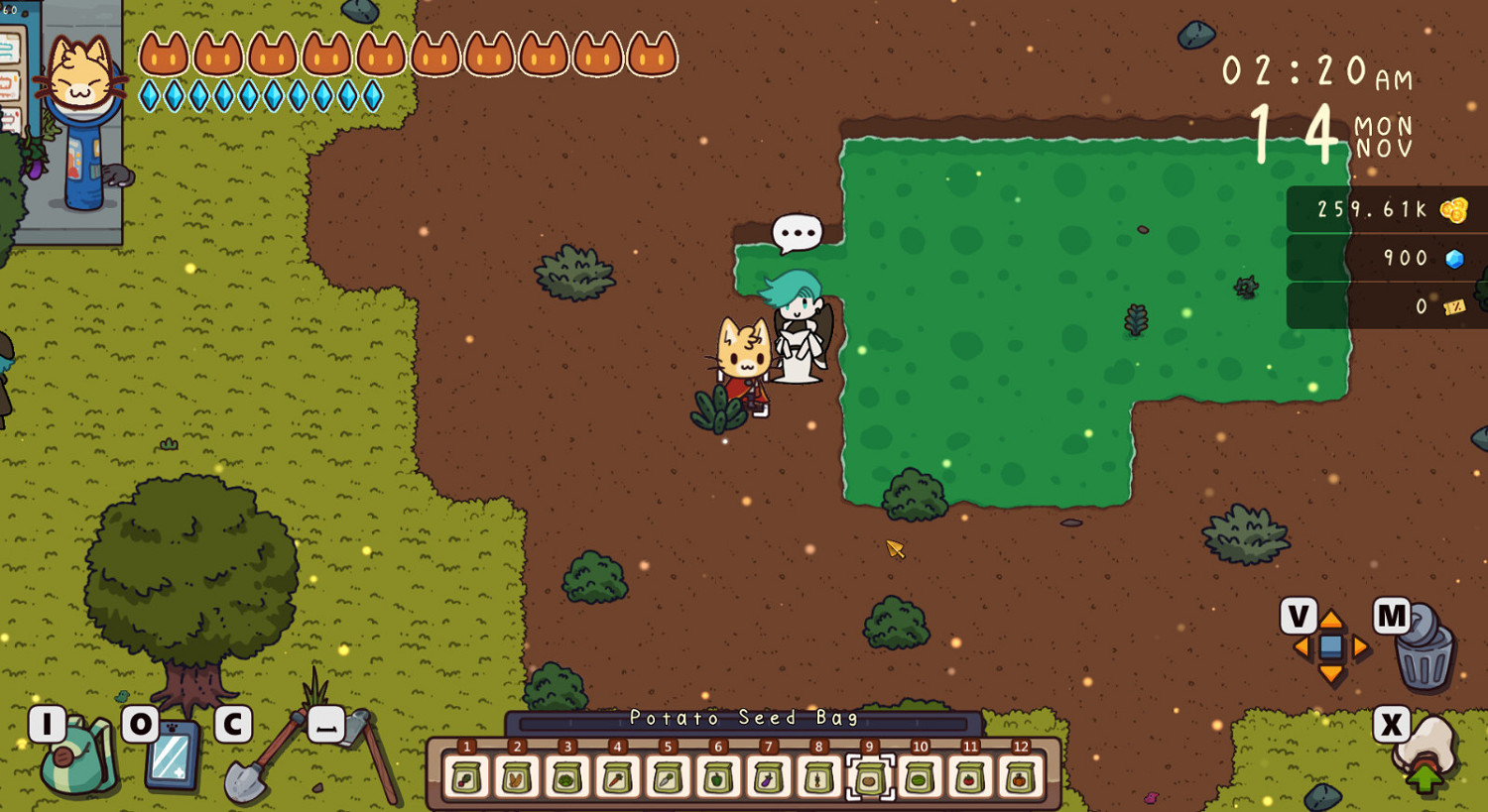 《旅行貓貓~探險之島》Steam頁面上線 2月15日發售