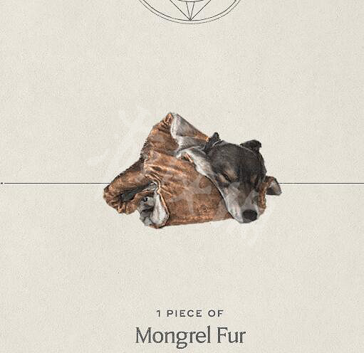 《霍格華茲的傳承》魔法藥水效果如何?魔法藥水展示影片 《霍格華茲的傳承》魔法藥水效果如何?魔法藥水展示影片