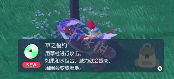 《寶可夢朱紫》草之誓約在哪?草之誓約獲取地點 《寶可夢朱紫》草之誓約在哪?草之誓約獲取地點