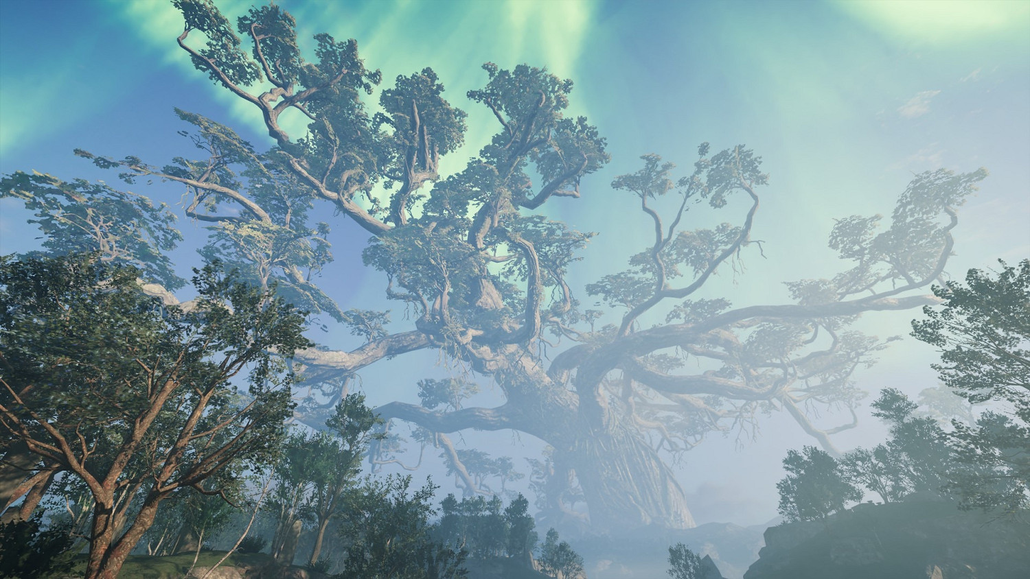 《巫師3次世代版》白果園昆特牌有哪些?白果園卡牌收集攻略 《巫師3次世代版》白果園昆特牌有哪些?白果園卡牌收集攻略