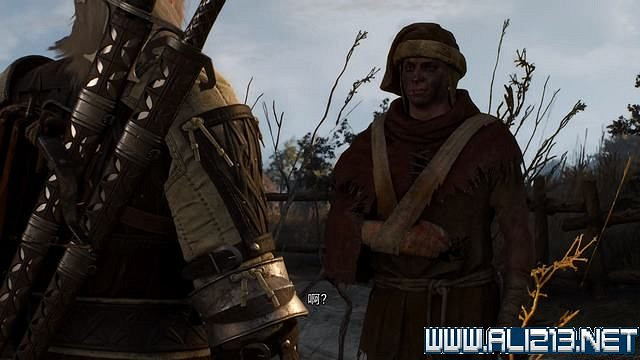 《巫師3次世代版》愚人金任務怎麽做?愚人金任務圖文攻略 《巫師3次世代版》愚人金任務怎麽做?愚人金任務圖文攻略