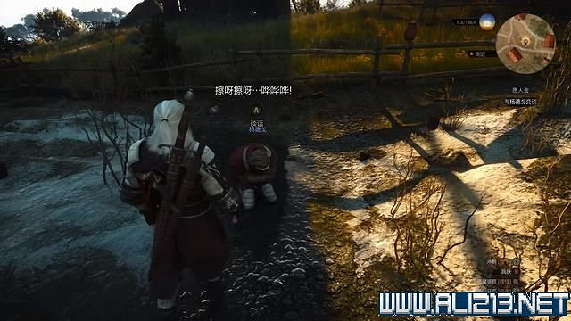 《巫師3次世代版》愚人金任務怎麽做?愚人金任務圖文攻略 《巫師3次世代版》愚人金任務怎麽做?愚人金任務圖文攻略