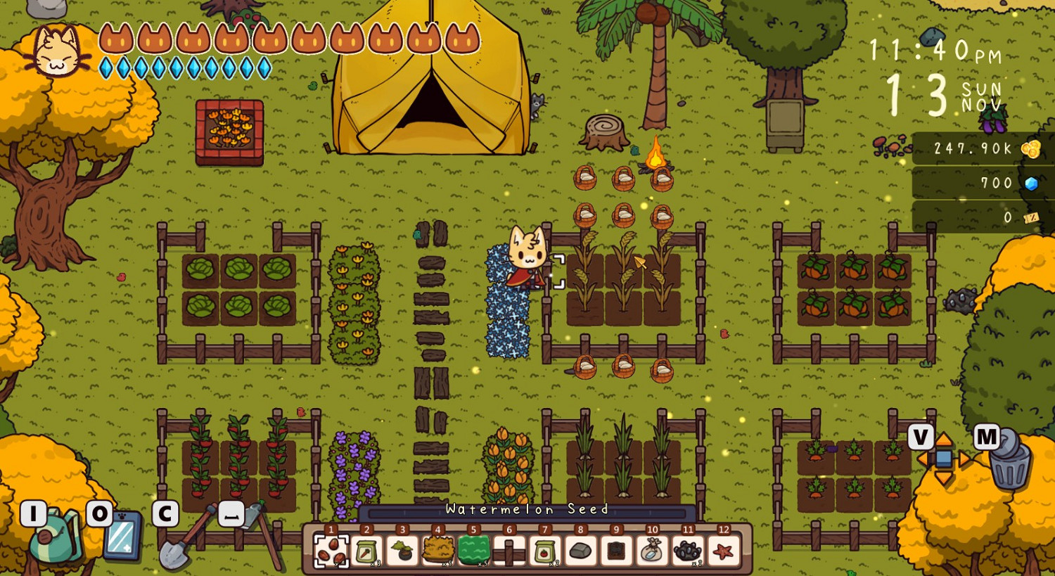 休閒新作《旅行貓貓:探險之島》上架Steam 休閒新作《旅行貓貓:探險之島》上架Steam