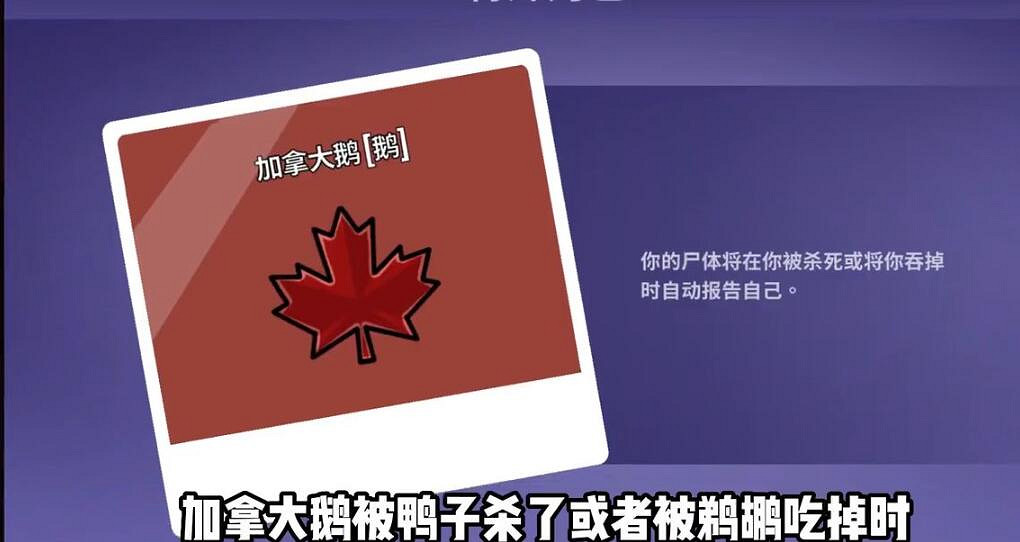 《鵝鴨殺》新手實用技巧分享 新手要注意什麽? 《鵝鴨殺》新手實用技巧分享 新手要注意什麽?