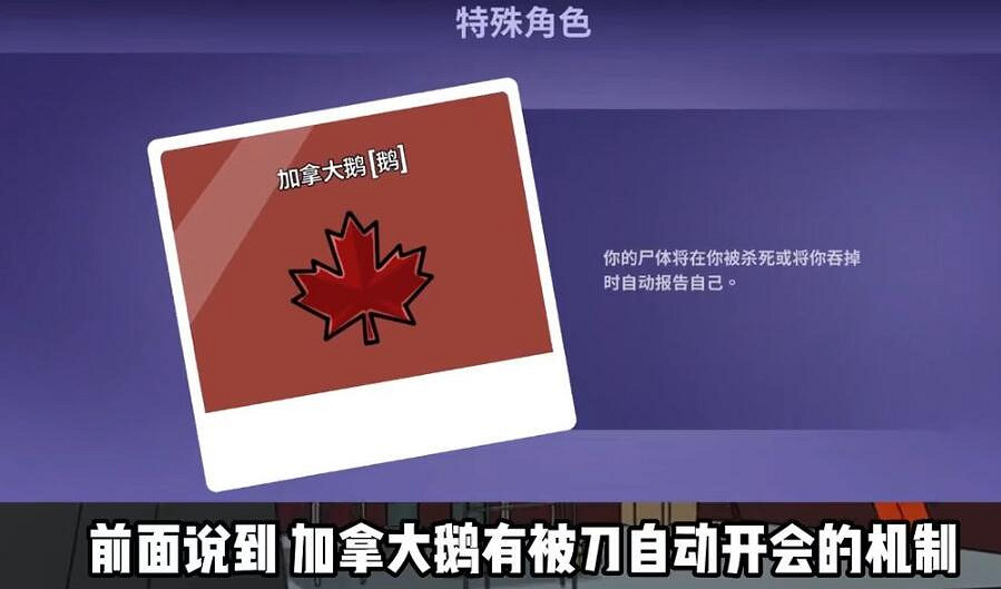 《鵝鴨殺》新手實用技巧分享 新手要注意什麽? 《鵝鴨殺》新手實用技巧分享 新手要注意什麽?