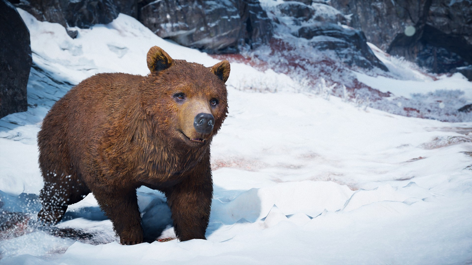 《巫師3次世代版》獅鷲打怪技巧心得 獅鷲怎麽打怪? 《巫師3次世代版》獅鷲打怪技巧心得 獅鷲怎麽打怪?