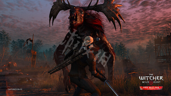 《巫師3次世代版》白海鷗怎麽獲得?白海鷗材料獲得方法一覽 《巫師3次世代版》白海鷗怎麽獲得?白海鷗材料獲得方法一覽