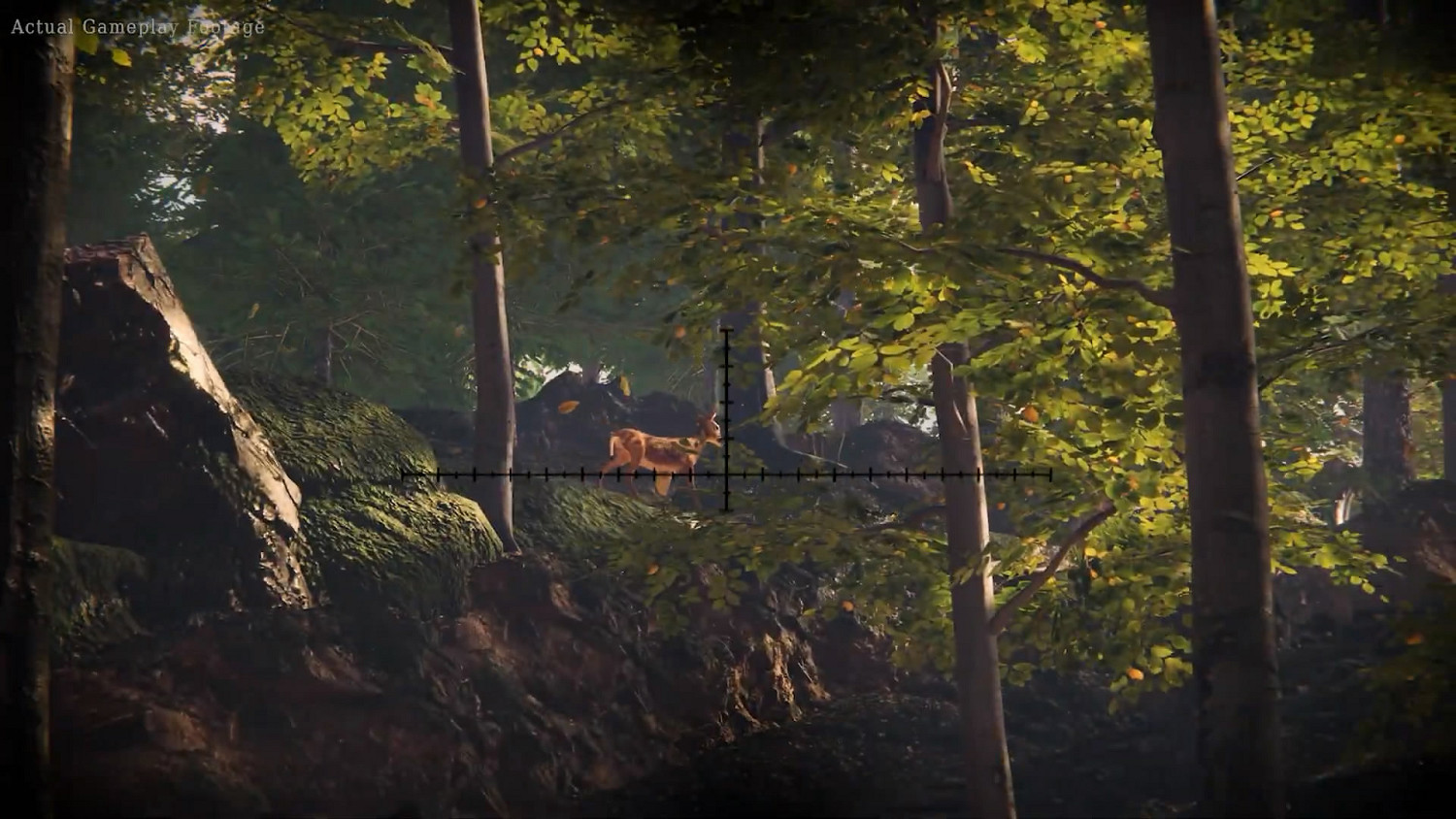 模擬新遊《森林護林員模擬器》將開啟眾籌！預告片賞