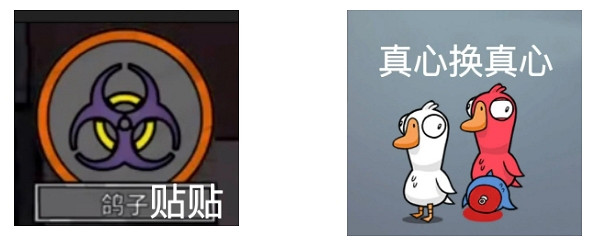 《鵝鴨殺》表情包大全 Steam鵝鴨殺表情包 《鵝鴨殺》表情包大全 Steam鵝鴨殺表情包