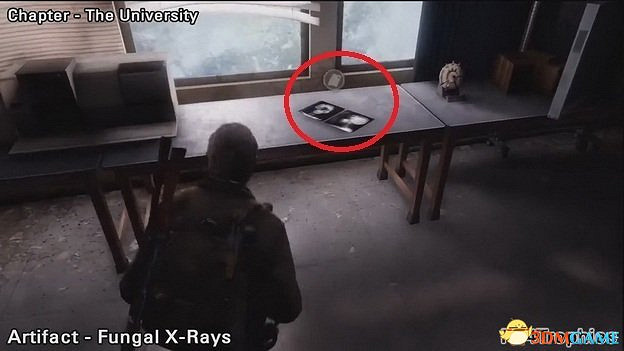 《最後的生還者》重製版攻略 最後生還者全流程全收集全結局白金攻略 《最後的生還者》重製版攻略 最後生還者全流程全收集全結局白金攻略