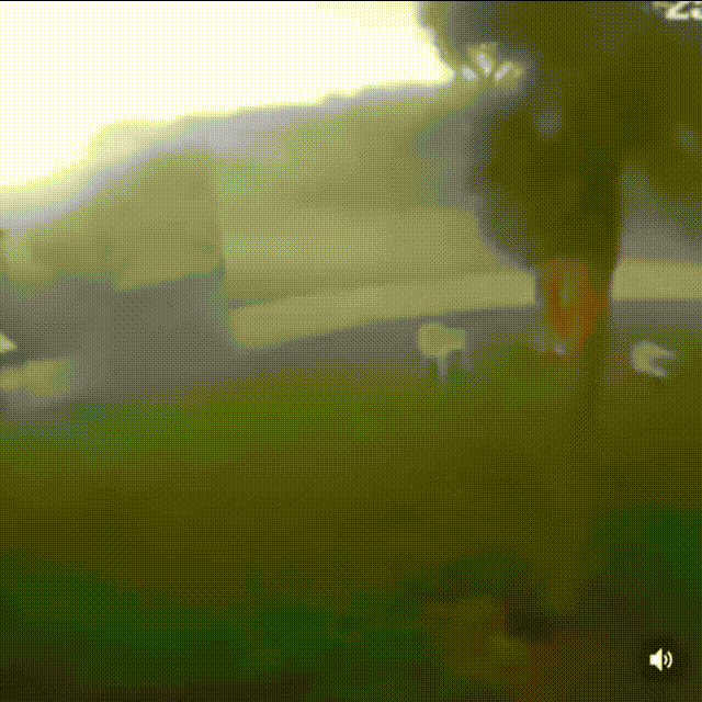 犯了4年大病的鬼泣玩家,掀起了古典宅味的二創風暴