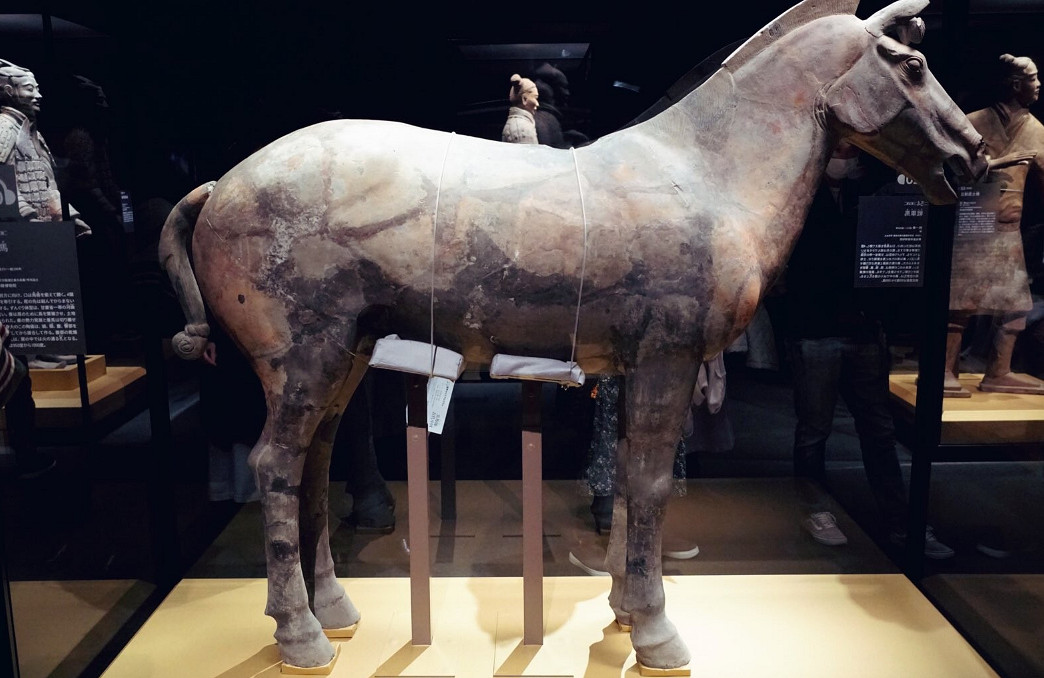 小島秀夫曬出參觀兵馬俑展覽照片！展出種類相當豐富