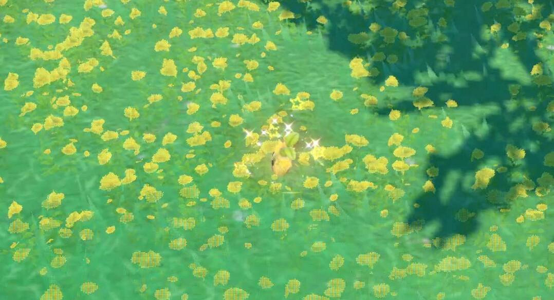 《寶可夢朱紫》向日種子在哪刷？閃光向日種子刷法技巧