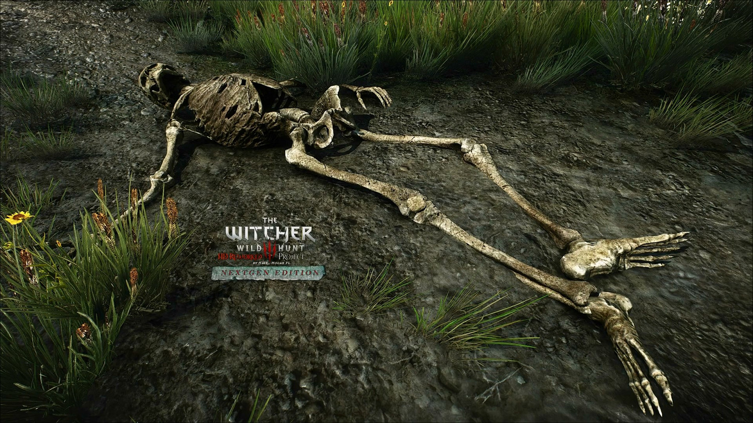 《巫師3》次世代高清重製MOD發布：視覺效果超官方！