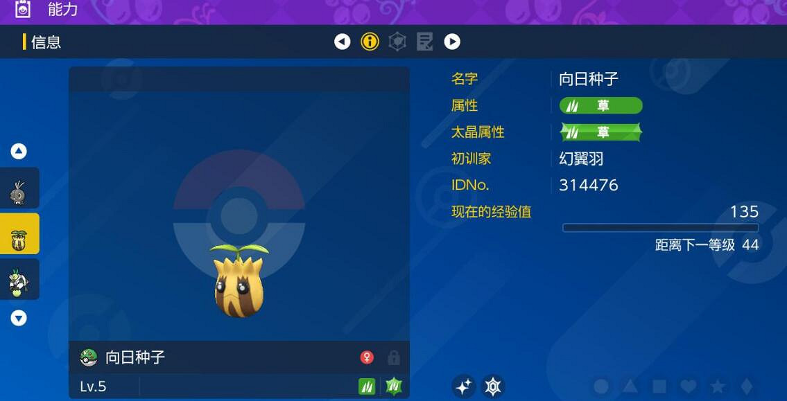 《寶可夢朱紫》向日種子在哪刷？閃光向日種子刷法技巧