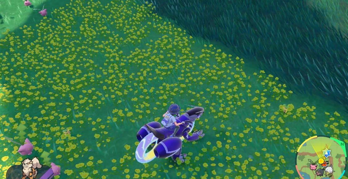 《寶可夢朱紫》向日種子在哪刷？閃光向日種子刷法技巧