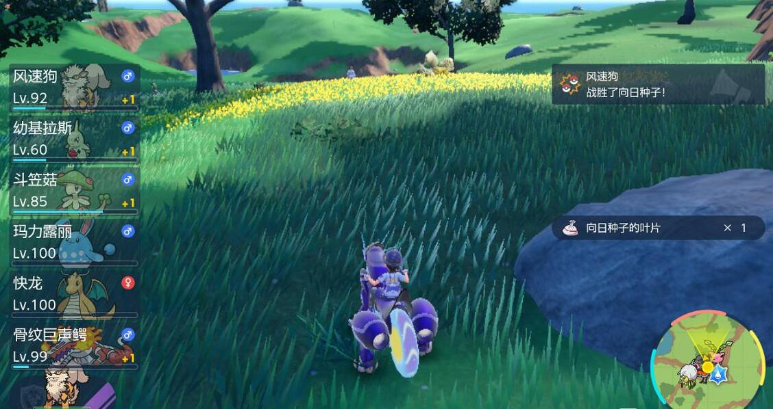 《寶可夢朱紫》向日種子在哪刷？閃光向日種子刷法技巧