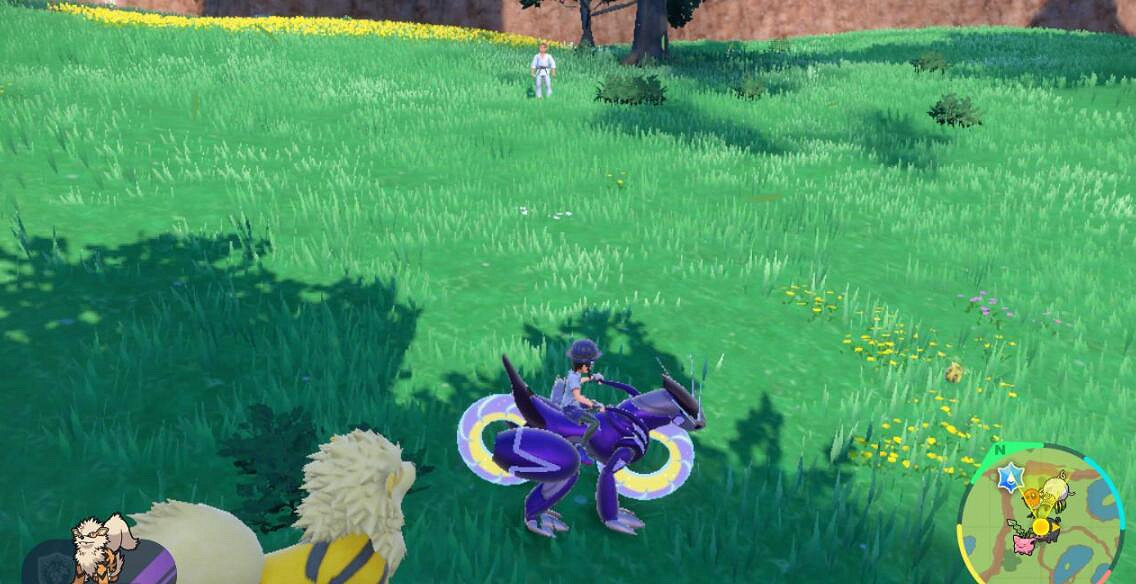 《寶可夢朱紫》向日種子在哪刷？閃光向日種子刷法技巧