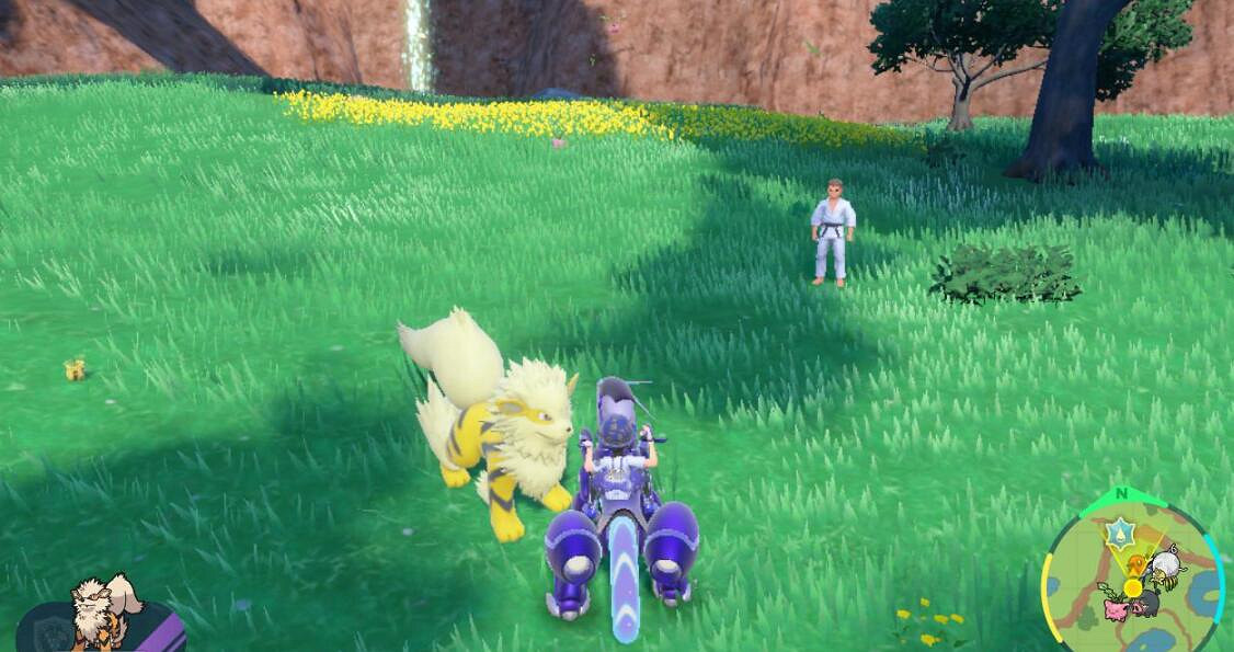 《寶可夢朱紫》向日種子在哪刷？閃光向日種子刷法技巧