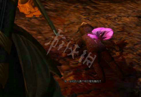 《巫師3次世代版》安娜的人偶選哪個?安娜的人偶完美結局攻略 《巫師3次世代版》安娜的人偶選哪個?安娜的人偶完美結局攻略