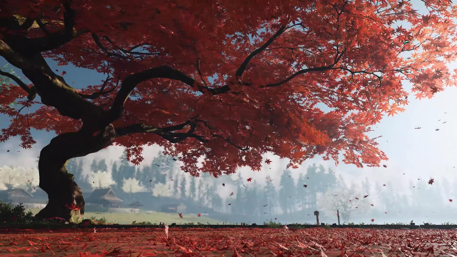 《對馬島之魂》美景混剪：盡情感受迷人的自然風光