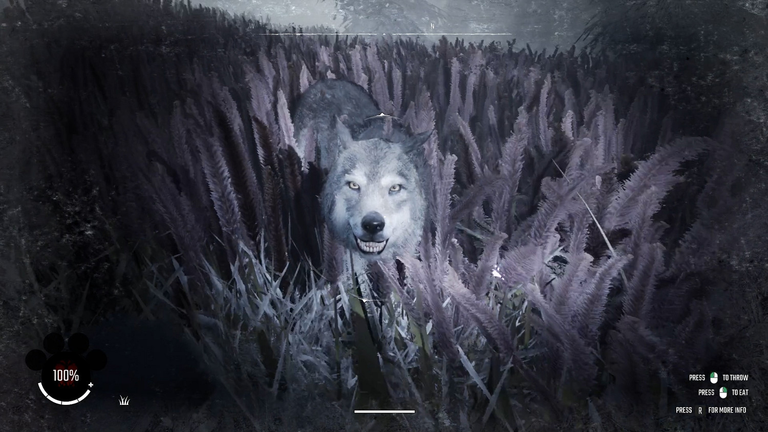 開啟生存之旅《冬日倖存者》免費序章將於2月6日上線