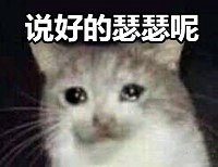 靠抖臀打出名號的NIKKE,在泰國廣告裡瘋狂內涵玩家 靠抖臀打出名號的NIKKE,在泰國廣告裡瘋狂內涵玩家