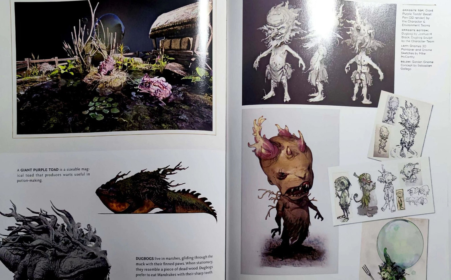 《霍格華茲》官方設定集內容泄露！夢幻般的魔法世界