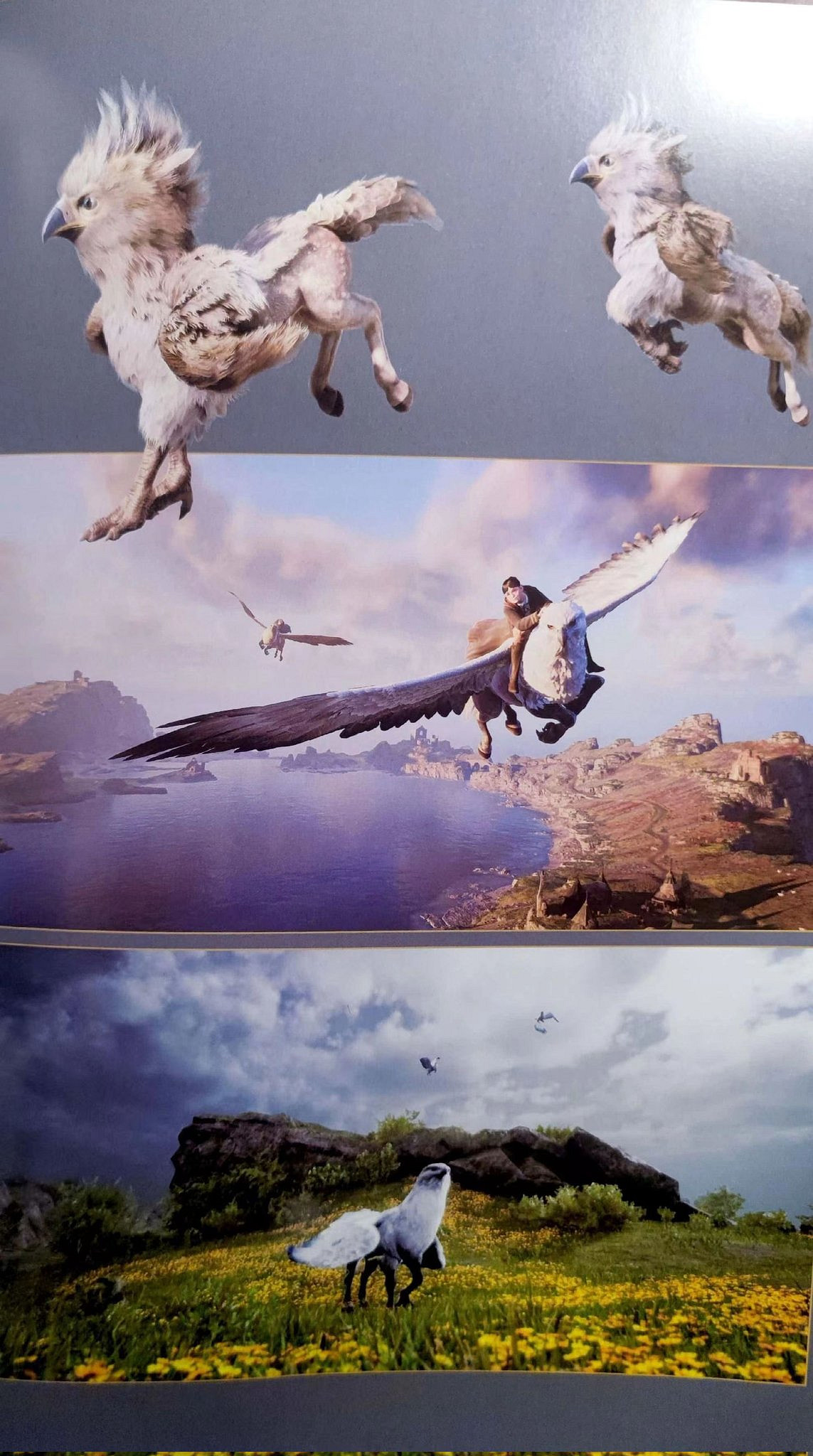 《霍格華茲》官方設定集內容泄露！夢幻般的魔法世界